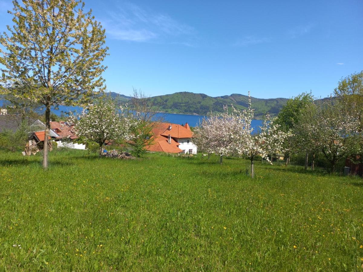 Attersee Gartenvilla Nussdorf am Attersee Exterior photo